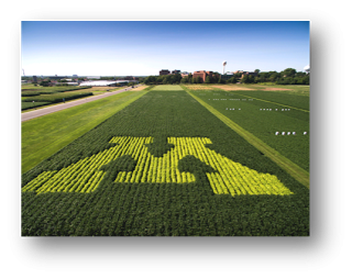 Agricoltura del futuro