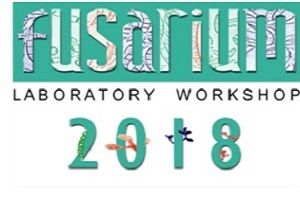 FUSARIUM 18TH LOGO