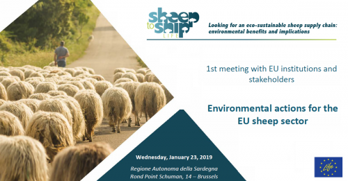 SheepToShip meeting