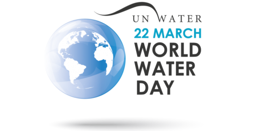 Logo della giornata mondiale dell'acqua