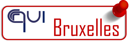 Il Cnr a Bruxelles: strategie a supporto della rete scientifica da Horizon 2020 a FP9