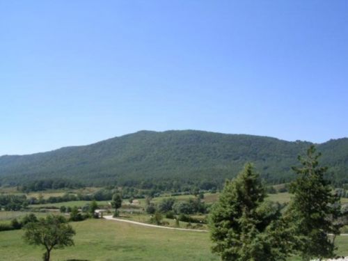 Foresta Demaniale 