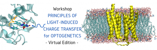 CT4OPTO workshop