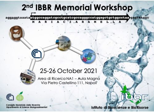 Locandina 2nd IBBR Memorial Workshop