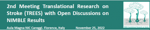 2nd Meeting Translational research on stroke