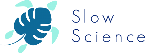 logo invernale