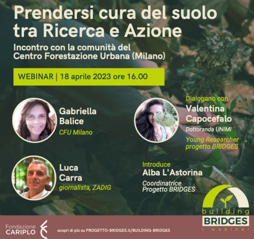 Locandina del webinar 