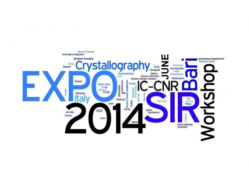 Logo dell' International Expo/Sir Workshop