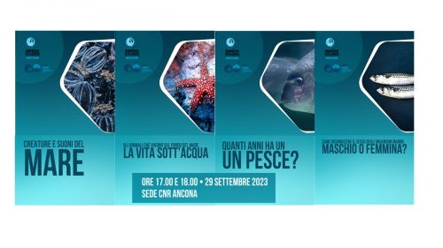 Laboratori Didattici