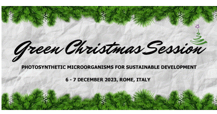 Green Christmas Session 2023 Web