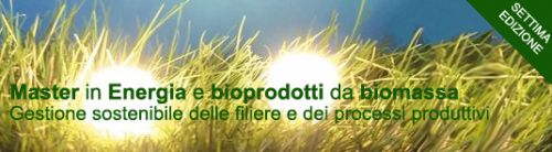 Master in Energia e Bioprodotti da Biomassa