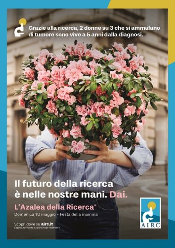 Azalea della Ricerca