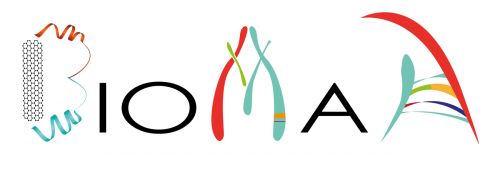Congresso Internazionale BioMaH: 