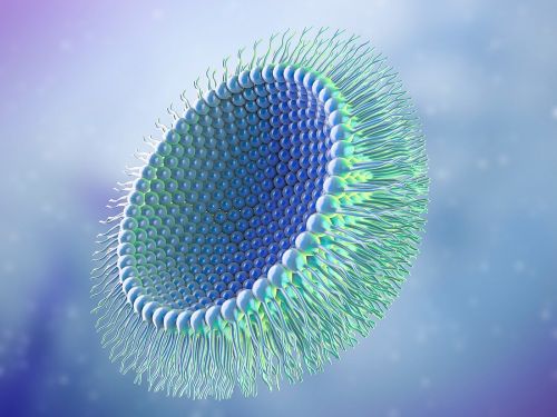 Rappresentazione di una micella inversa: formata da molecole le cui teste idrofile si raggruppano al centro mentre le code idrofobe stanno all'esterno