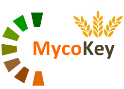 MycoKey
