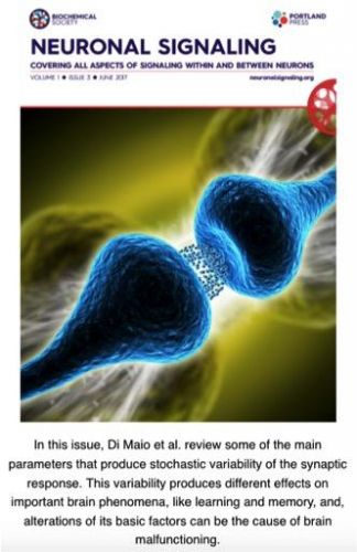 Copertina della rivista 'Neuronal Signaling'