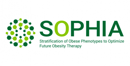 Logo del progetto SOPHIA