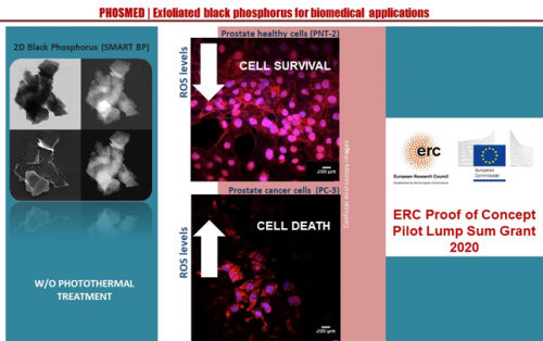 Phosmed Exfoliated black phosphorus for biomedical applications