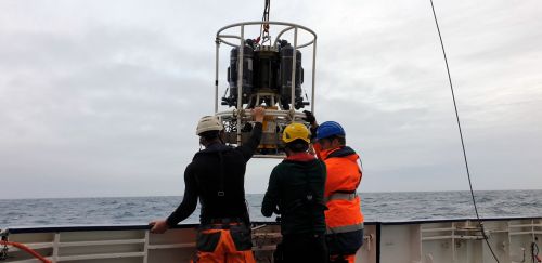 Utilizzo della sonda CTD per misurare i parametri oceanografici  (Photo credits: Alvise Vianello)