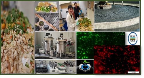 Campionamento di food waste e fanghi biologici, alimentati ai digestori anaerobici- Immagini dei microrganismi coinvolti nel processo