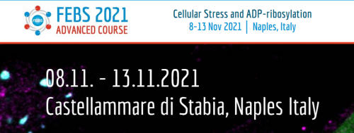 Febs 2021