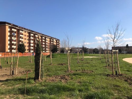 Parco pubblico di San Bartolo a Cintoia