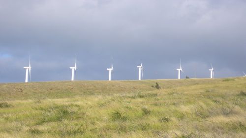 L'energia eolica è una delle opzioni, tra quelle rinnovabili, inserita nella transizione ecologica. Tra alcune soluzioni di gestione, esistono le 
