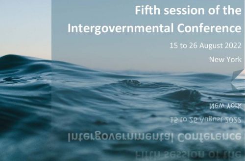 5° Sessione della Conferenza Intergovernativa per la conclusione di un trattato vincolante sulla conservazione e l'uso sostenibile della biodiversità marina dell'alto mare