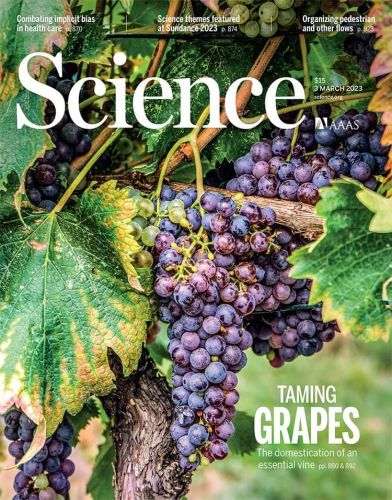 La copertina di Science è dedicata allo studio