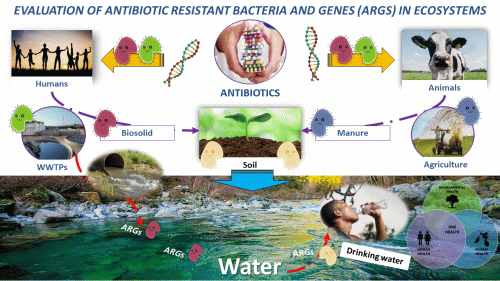 Schema semplificato delle possibili vie di trasmissione di antibiotici e resistenza tra uomo, animali e ambiente (acqua e suoli)