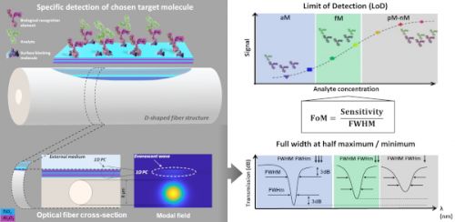 Illustrazione schematica di un sensore in fibra ottica combinato con cristallo fotonico 1D che viene utilizzato per la rilevazione di biomolecole in fluidi biologici complessi con limite di rilevabilità nell'attomolare
