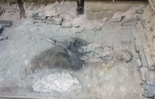 Lo scheletro del guardiano nel suo letto di legno presso Collegium Augustalium, nel Parco Archeologico di Ercolano (particolare). Credits: P.P. Petrone