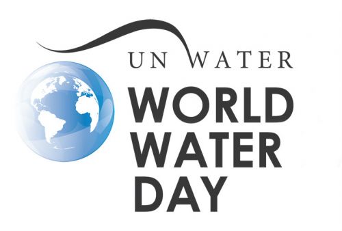 Logo della giornata mondiale sull'acqua