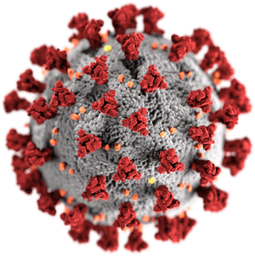 Il Focus ed il Coronavirus
