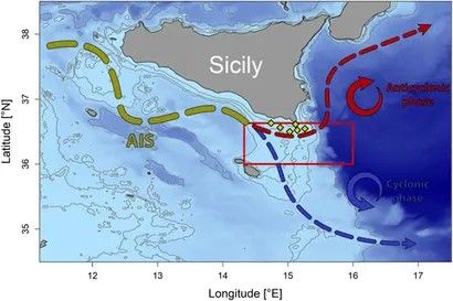 Mappa dell'area di ricerca: in giallo le aree di campionamento, in verde la circolazione superficiale nello stretto di Sicilia, con i flussi anticiclonici verso nord (in rosso) e ciclonici verso sud (in blu)