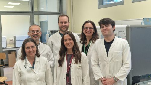 Team del progetto