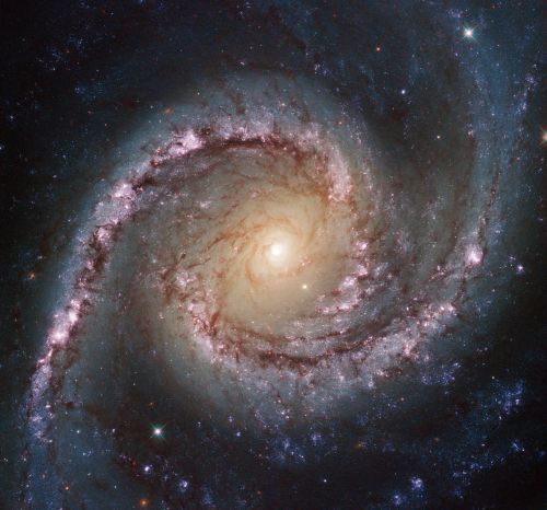 Grand_Swirls_NGC: immagine della galassia a spirale NGC 1566 presa dal Telescopio Hubble  By NASA and The Hubble Heritage Team (STScI/AURA)