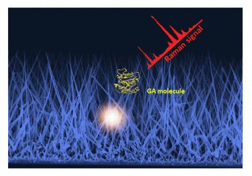 Foresta di nanofili di silicio rivestiti di argento e schema di funzionamento del biosensore