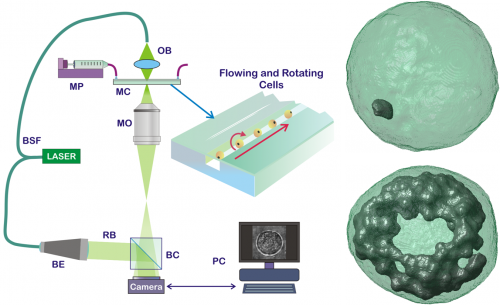 Schema del cito-tomografo olografico e tipiche immagini di output per la visualizzazione del nanografene internalizzato dalle cellule