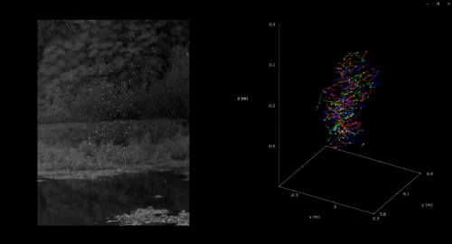 Sciame ricostruito in 3D (Gruppo Cobs)
