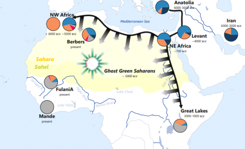 Rappresentazione semplificata delle componenti genetiche nelle popolazioni del Green Sahara e nei Fulani. (Credits: Eugenia D'Atanasio. Concessione di Current Biology)