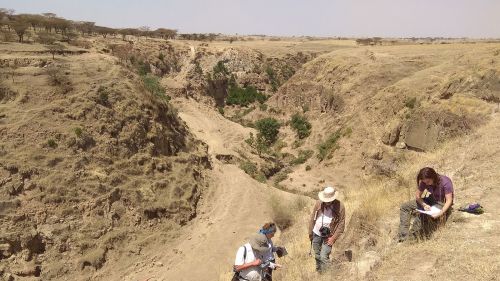 Analisi della stratigrafia vulcanica della Rift Valley ad Asela (Etiopica)