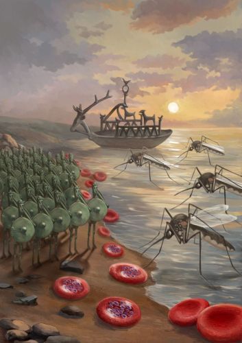 Antichi guerrieri nuragici fronteggiano il  Plasmodium falciparum: la lunga battaglia evoluzionistica tra la nostra specie e il parassita malarico