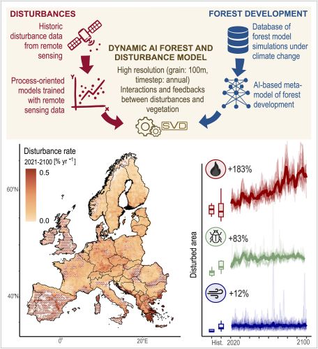 Viene mostrato un framework di simulazione che combina modelli di disturbo orientati ai processi, addestrati con dati di telerilevamento e simulazioni di modelli di processo locali, in un modello dinamico di foresta e disturbo basato sul deep learning (in