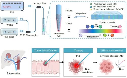 Graphical abstract
