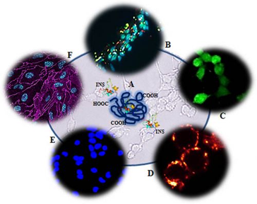 Nanoparticelle