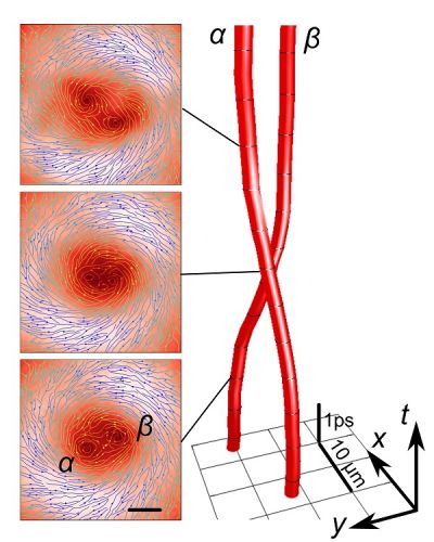 I due vortici quantizzati all'interno del fluido polaritonico a tre diversi istanti di tempo (sinistra) e la rappresentazione dell'evento di scattering tra i due vortici in forma di filamenti spazio-temporali (destra)