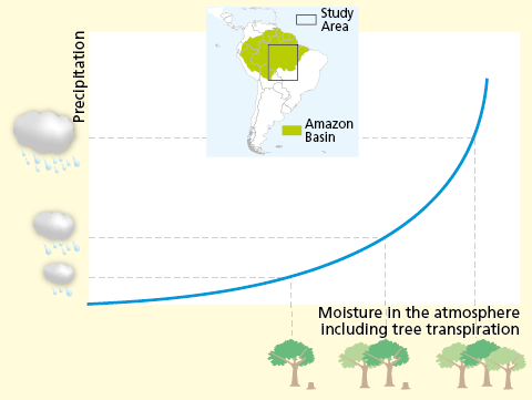 Gli effetti del disboscamento e della riforestazione sulla pioggia in Amazzonia