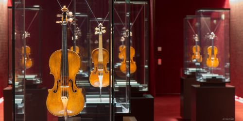 Violini storici della collezione del Museo del Violino Antonio Stradivari, sala 