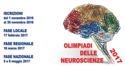 Olimpiadi delle Neuroscienze:  Novembre - Maggio 2017